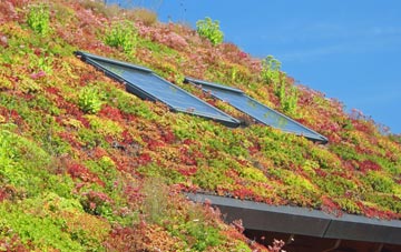 Froxfield Green living roof systems